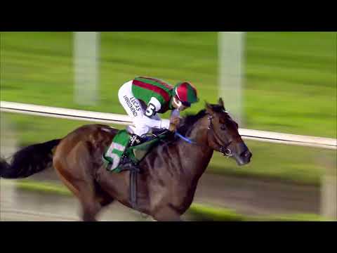 221106 c13 MORGAN AVENUE