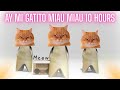 Ay Mi Gatito Miau Miau 10 Hours