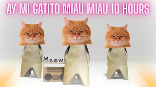 Download lagu Ay Mi Gatito Miau Miau 10 Hours mp3