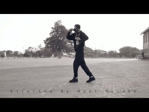 Rich Kid Barotse - Vin Shady Freestyle (Official Visualizer)