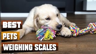 Playful Pups Approved! Top 10 Rope Dog Toys for Endless Fetc