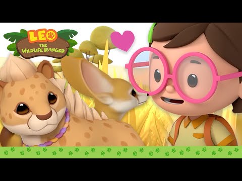 Witness21  2023 09 03