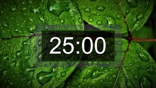 Download lagu Countdown timer, 25 minutes with relaxing music for concentration mp3