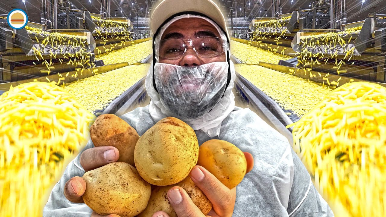 COMO FUNCIONA UMA FÁBRICA DE BATATA FRITA | Hambúrguer Perfeito
