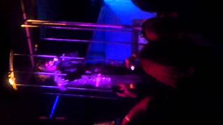 Psyclon Nine Live at Terminal Fest 2012- Visceral Holocaust