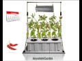 Anywhere Garden Red Pepper Avi
