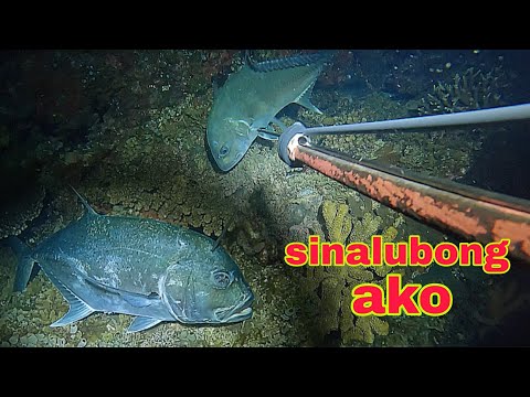 ep506 Dive2 malaking mamsa sinalubong ako night spearfishing Philippines