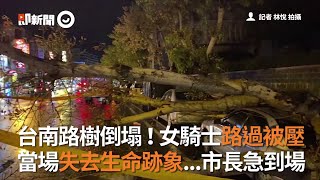 [情報] 北屯進化路口路樹倒塌