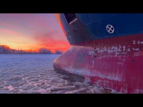 onda Skillet - Renassaince (Original Mix)