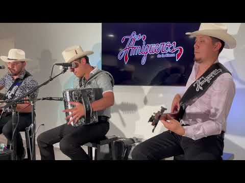 Popurrí De Canciones | Los Amigueros De La Sierra