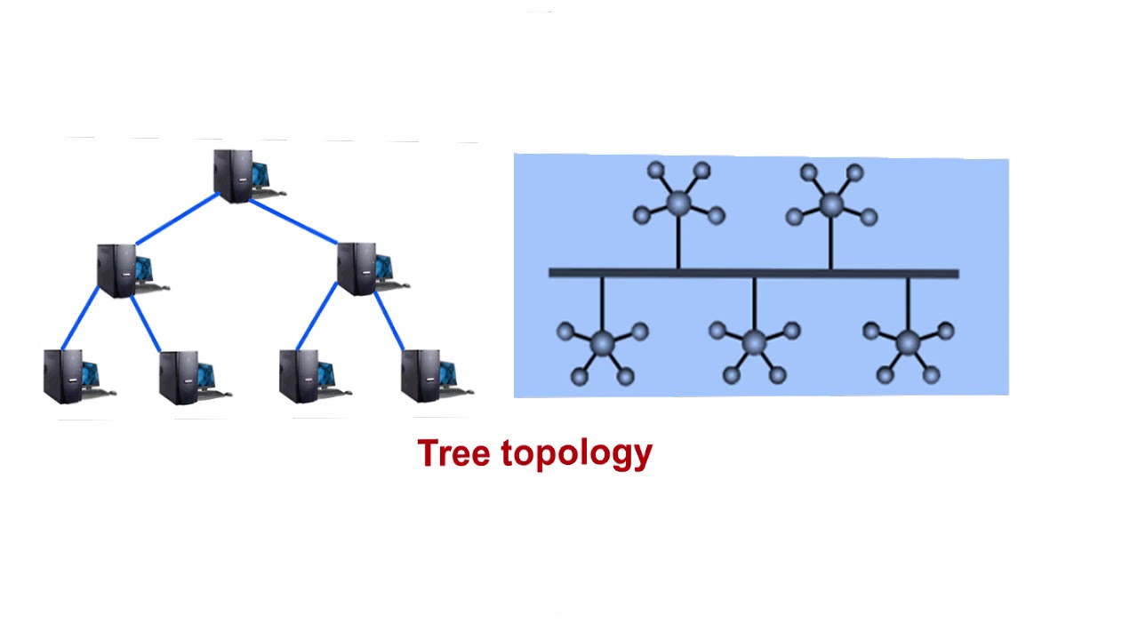 Chapter 5 || Network Topology