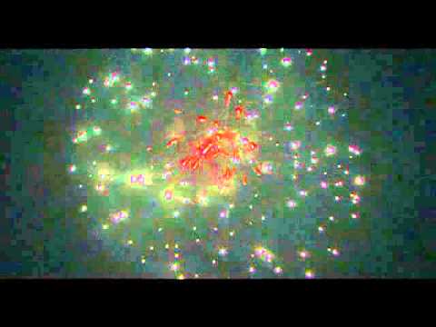 6" display shells   white strobe red coco crossette pistil .mpg