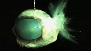 Eyeballs vs. Bullets in SlowMo - Smarter Every Day 26