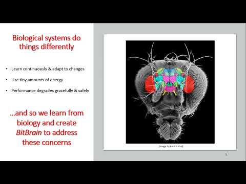 tinyML EMEA Monday Keynote Steve Furber: A Novel Mechanism for Edge ML