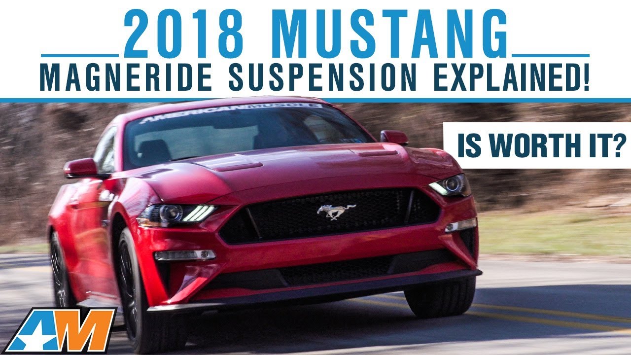 20152023 Mustang Shocks & Struts AmericanMuscle