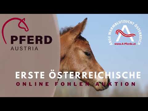 1. österreichische ONLINE Fohlenauktion