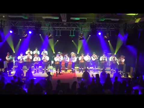 Holzhauermusik Radolfzell - Schrei nach Liebe (Die Ärzte)