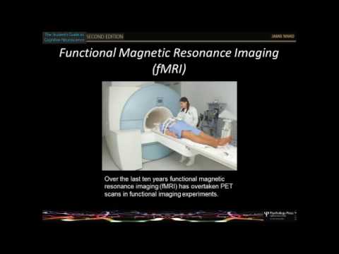 chapter 4 and 5 - imaging and lesion methods (3rd edition)