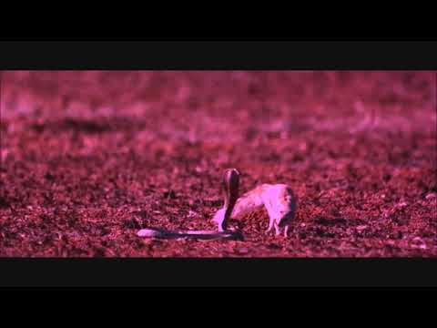 PABLO XTRM x R-ODD - LUCRO (PROD. R-ODD)