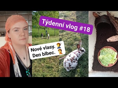 Týdenní vlog #18 Nové vlasy. 💇 Den blbec.🙎