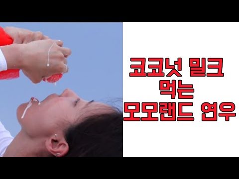 아이콘