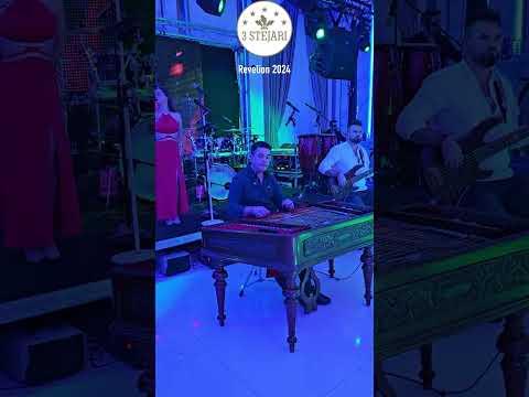 Revelion 2024 la 3 Stejari Brasov cu Kontraband Brasov