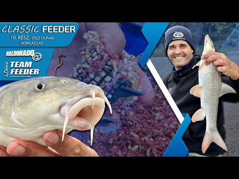 Sipos Gábor - A classic feeder 10. rész – Őszi dunai horgászat