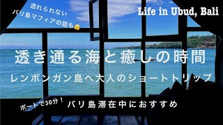 バリ島マフィアの話。/日帰りレンボンガン島の透き通る海とおしゃれなカフェ　#ねこのいる暮らし #海外生活 #バリ#ウブド