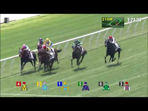 12/3/2022 (491) Champion's Way - Z Purton