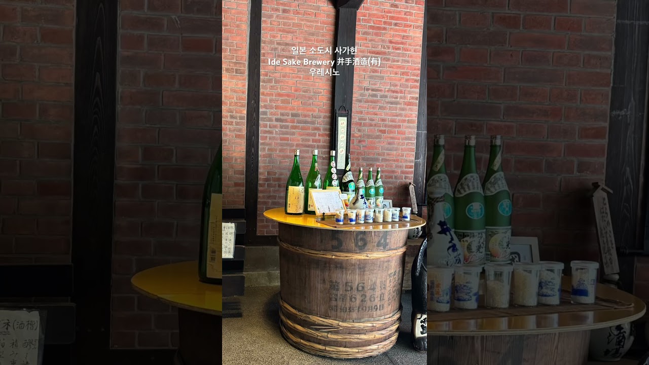 YouTube Short thumbnail