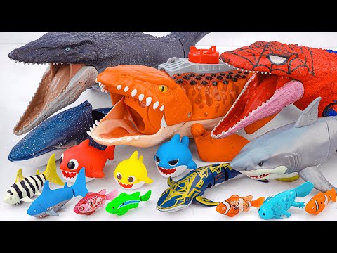 toy asmr | Baby Shark Pingfong Aquarium & RC Mosasaurus & quarium ASMR Satisfying with Unboxing