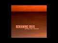 Screaming Trees - Beyond this Horizon