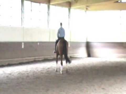 Cash Lady - Cash and Carry