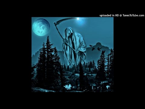 zelly ocho + davidshwaty + yeat + novagang + ken carson  + sig carlito + rage type beat prod magik