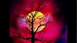 unselfish lover / FULL FORCE