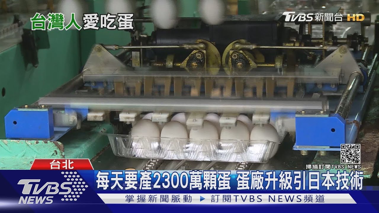 雞蛋市場新戰國!機能蛋、洗選蛋、動福蛋夯 業者引日本技術搶攻市場
