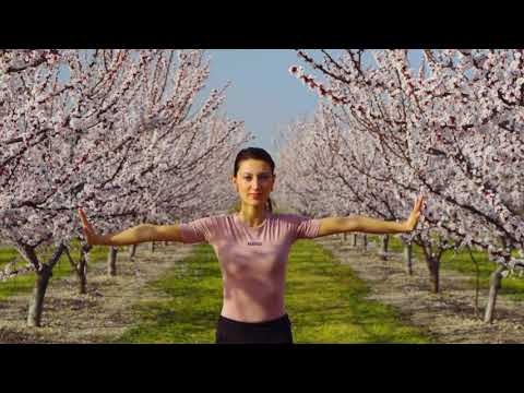 Esercizi per le BRACCIA: tonifica in 15 minuti e senza pesi 💪