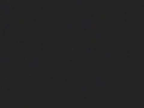 The JuJu Beans - Shake Your Money Maker