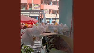 Download lagu Bersama Hingga Mata Tertutup mp3