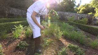 Ashford Castle - Secret Garden Reel