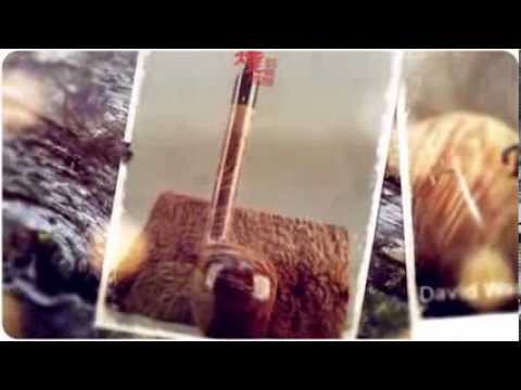 Der Beste Pfeifenbauer Österreichs - baffpipes