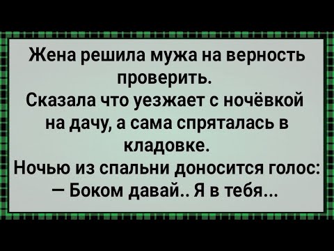 Как Жена Мужа На Верность Проверяла! Сборник Свежих Анекдотов! Юмор!