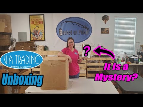 Via Trading Unboxing - What is in the box? It is a mystery? Will I Make money? Online Reselling