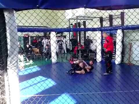 Combat Wrestling Corruption in Bulgaria