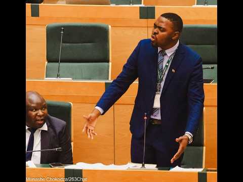 Hon Makumire Difficult time to debate in Parliament
