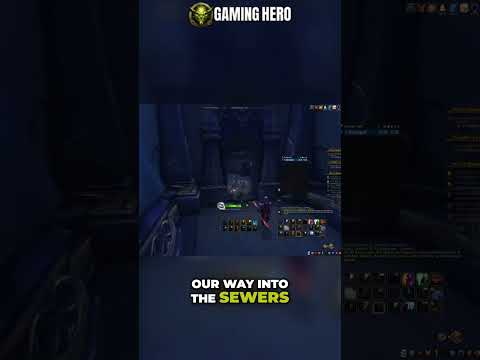 Unlocking the Secrets of Night Hold: Entrance Guide and Tips