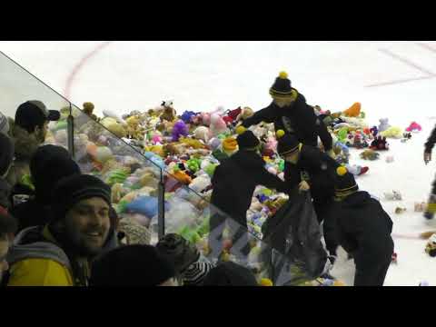 Žihadla vs. Hodonín - 5. ledna 2019  ... 1. třetina