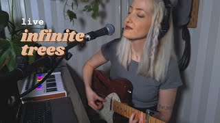 soft magical live performance ✨ my own version of nick mulvey infinite trees made in pro tools