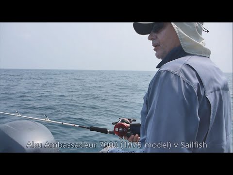 Abu Ambassadeur 7000 (1975) vs Sailfish (26.08.19)