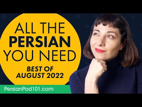 Your Monthly Dose of Persian - Best of August 2022